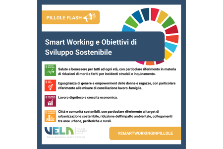 Lo Smart Working e gli SDGs delle Nazioni Unite